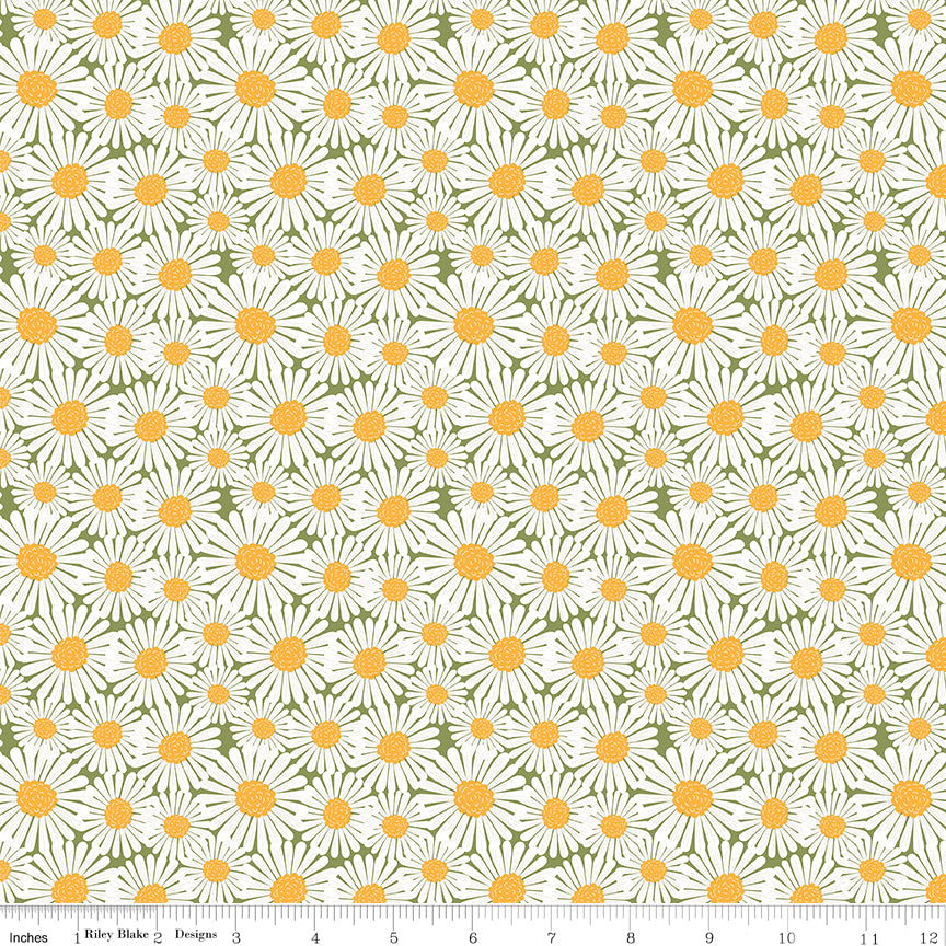 Sunshine & Dandelions Daisies Green quilting cotton by Traci Reed for Riley Blake Designs shown with ruler for print scale