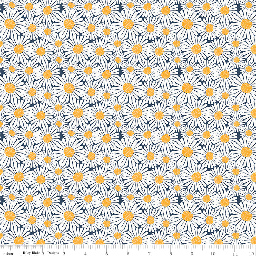 Sunshine & Dandelions Daisies Navy quilting cotton by Traci Reed for Riley Blake Designs shown with ruler for print scale