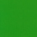 Kona Cotton Grasshopper Green vivid rich green solid quilting fabric by Robert Kaufman Fabrics.